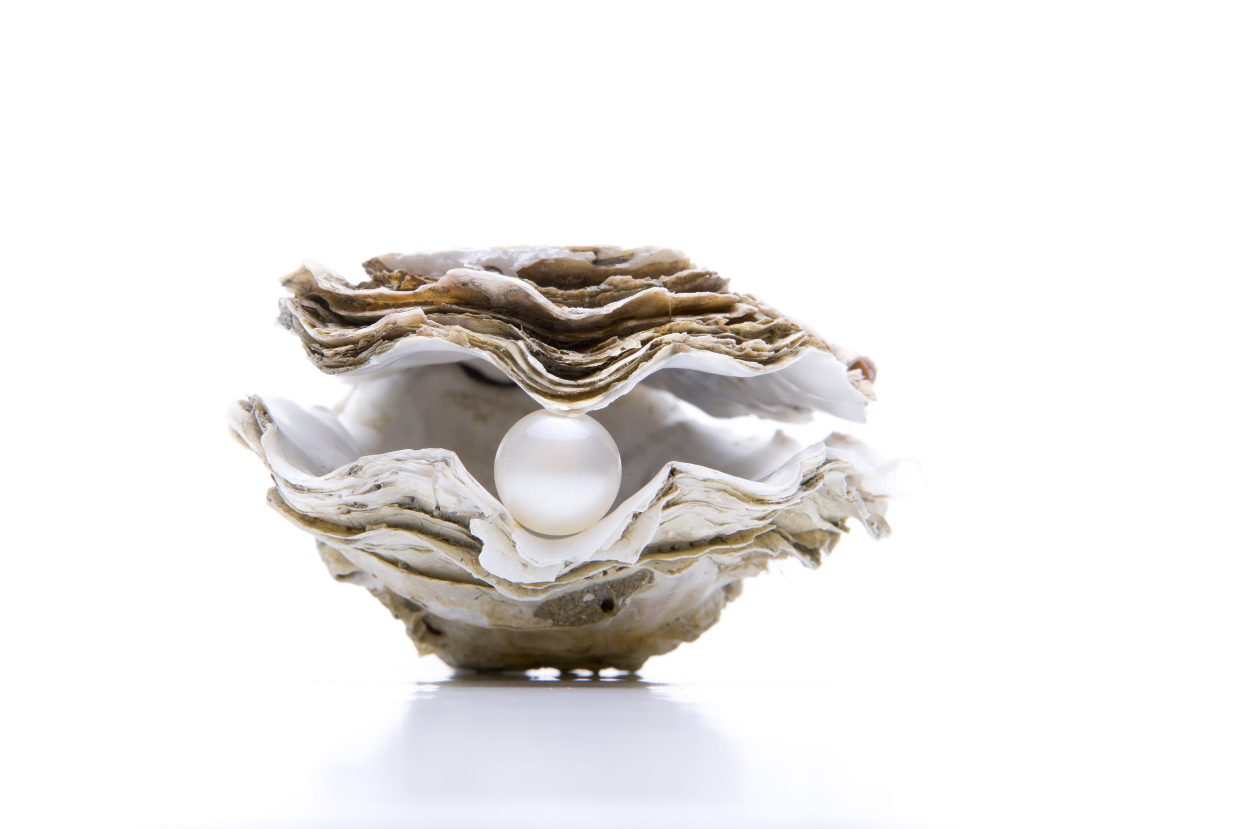 Pearl of Great Price